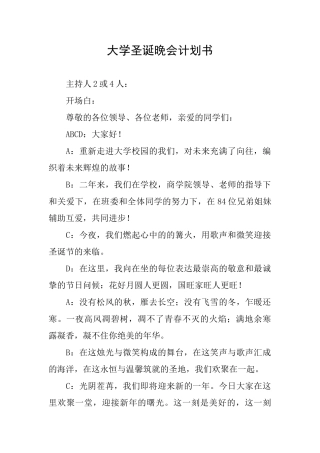 大学圣诞晚会计划书