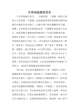 大学实践报告范文