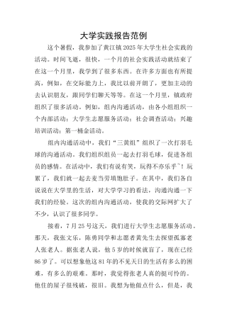 大学实践报告范例
