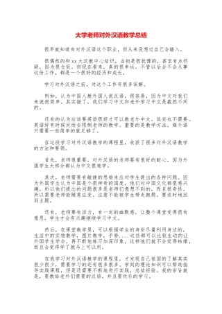 大学教师对外汉语教学总结