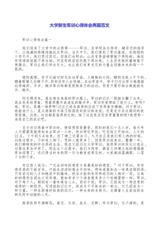 大学新生军训心得体会两篇范文