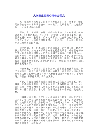 大学新生军训心得体会范文