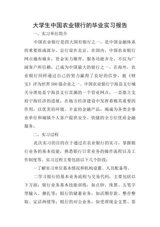 大学生中国农业银行的毕业实习报告