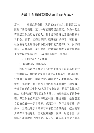 大学生乡镇挂职锻炼年度总结2025