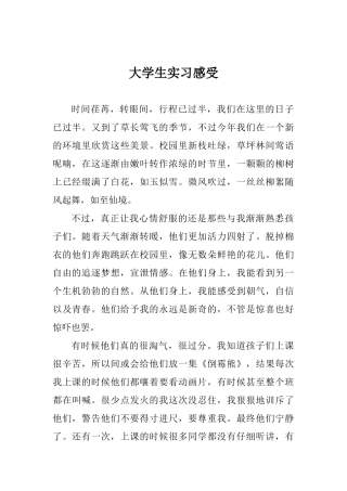 大学生实习感受