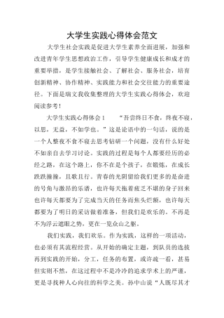 大学生实践心得体会范文