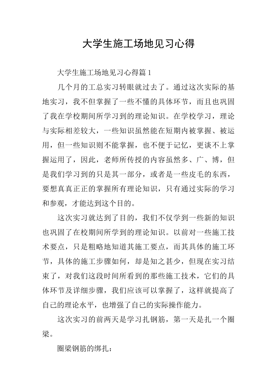 大学生工地见习心得_第1页