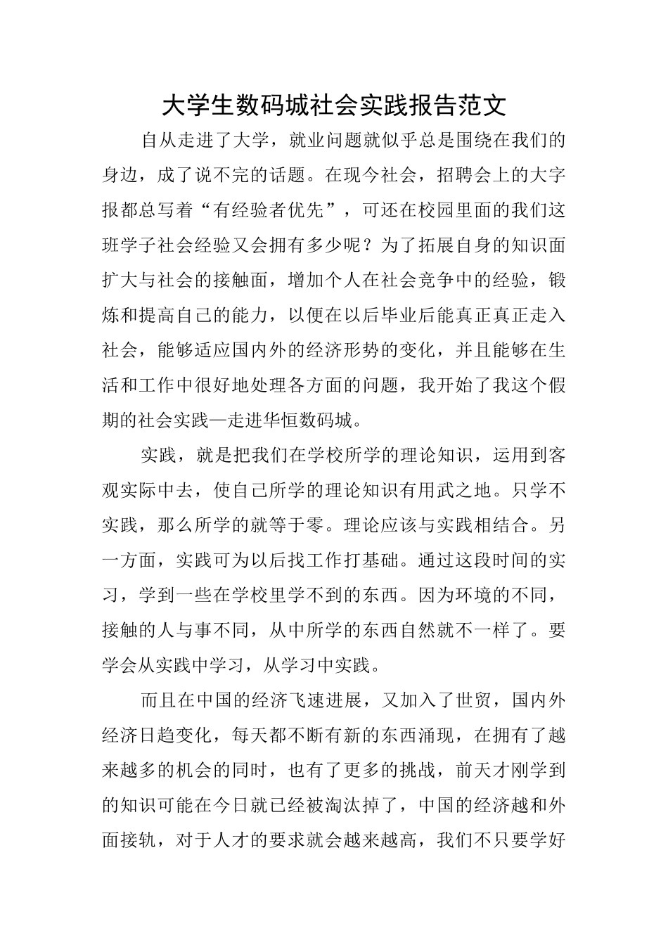 大学生数码城社会实践报告范文_第1页