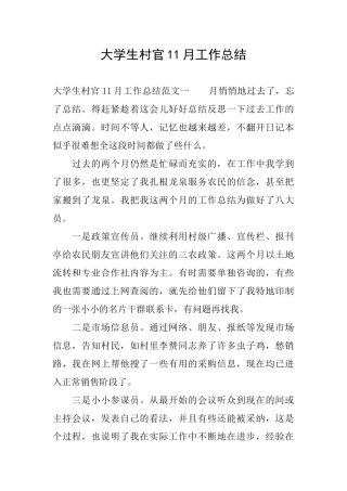 大学生村官11月工作总结