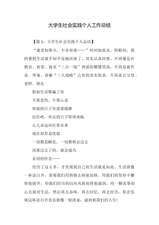 大学生社会实践个人工作总结