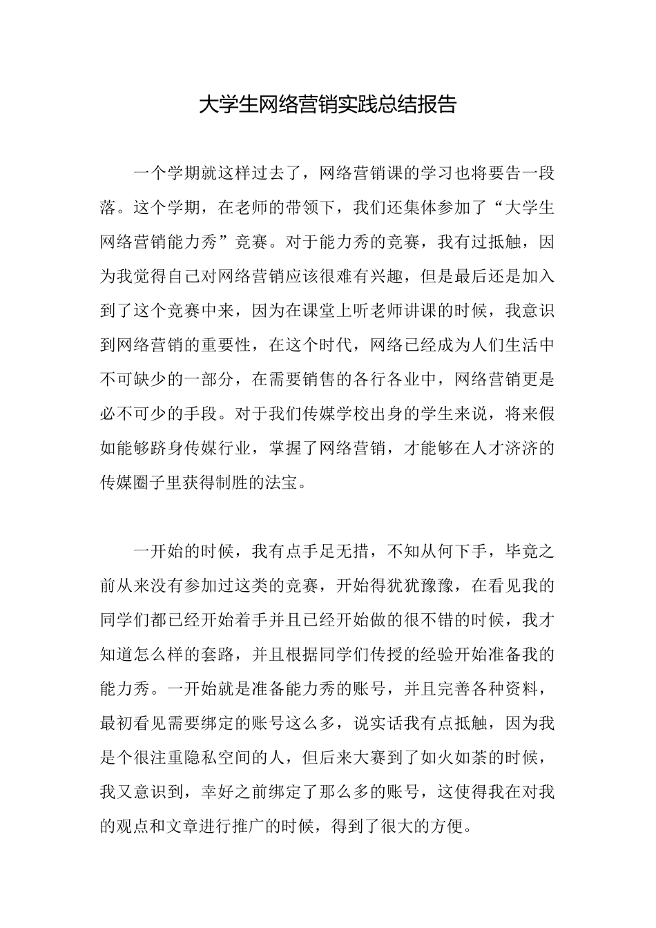 大学生网络营销实践总结报告_第1页