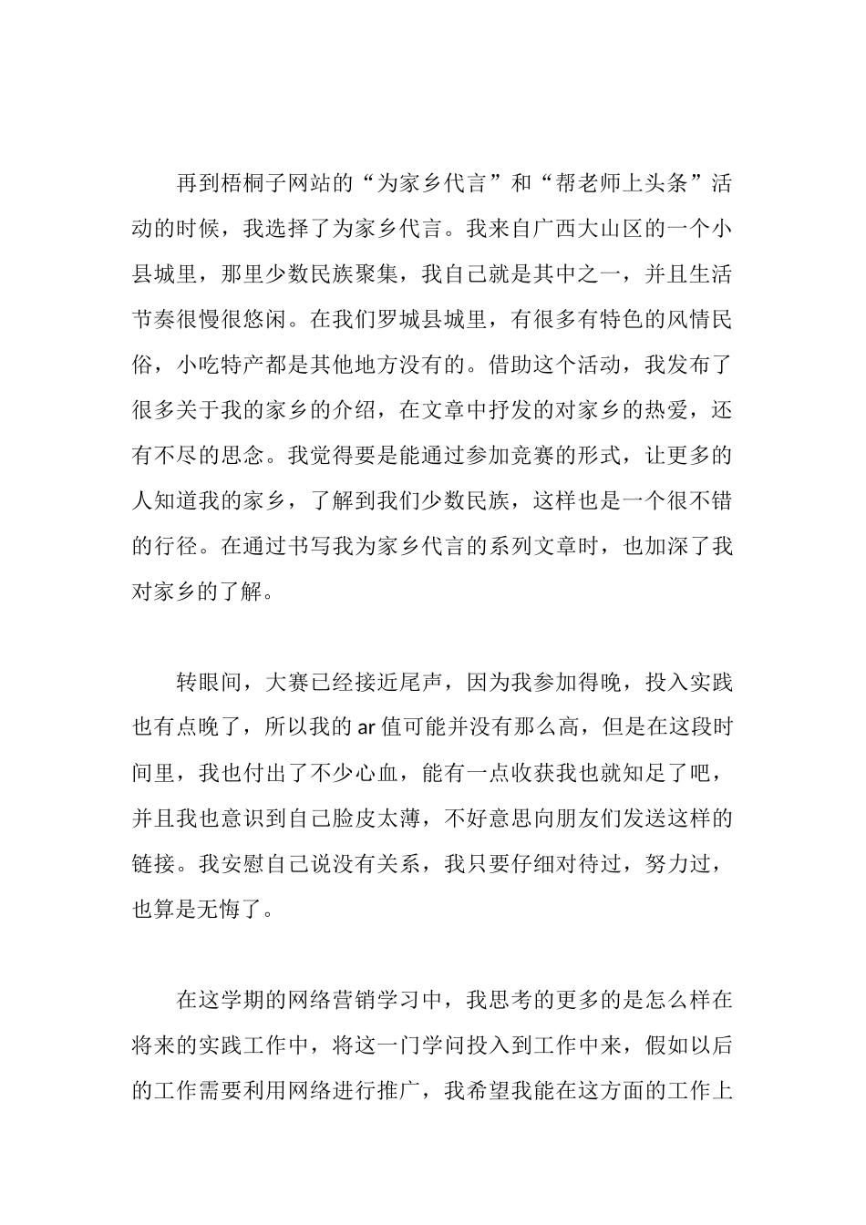 大学生网络营销实践总结报告_第2页
