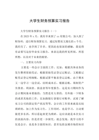 大学生财务预算实习报告