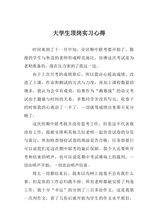 大学生顶岗实习心得5