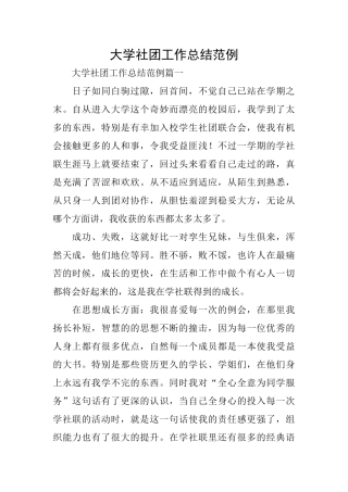 大学社团工作总结范例