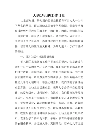 大班幼儿的工作计划
