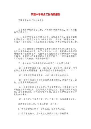 天涯中学安全工作自查报告
