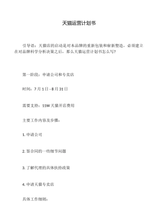 天猫运营计划书