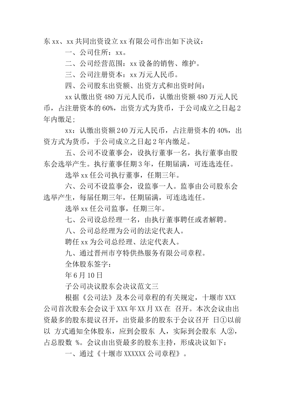 子公司决议股东会决议_第2页