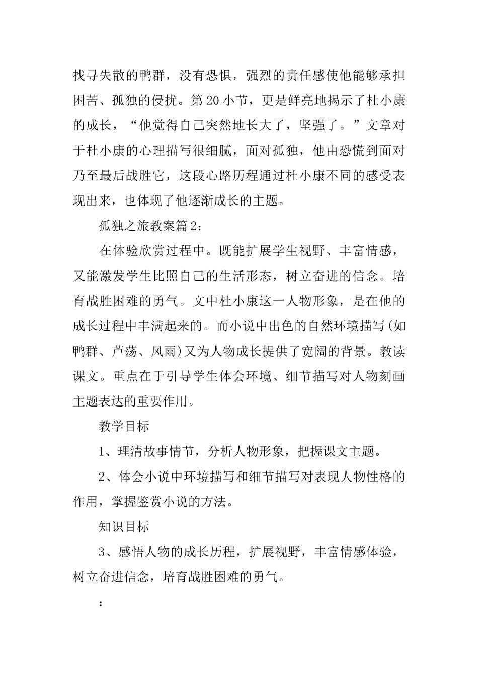 孤独之旅教案_第3页