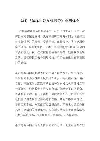 学习《怎样当好乡镇领导》心得体会