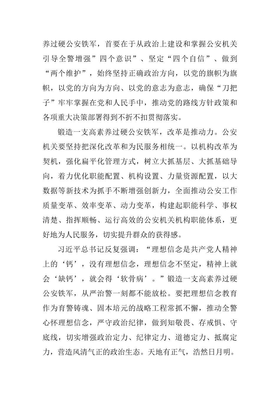 学习习总书记全国公安工作会议重要讲话精神心得体会_第2页