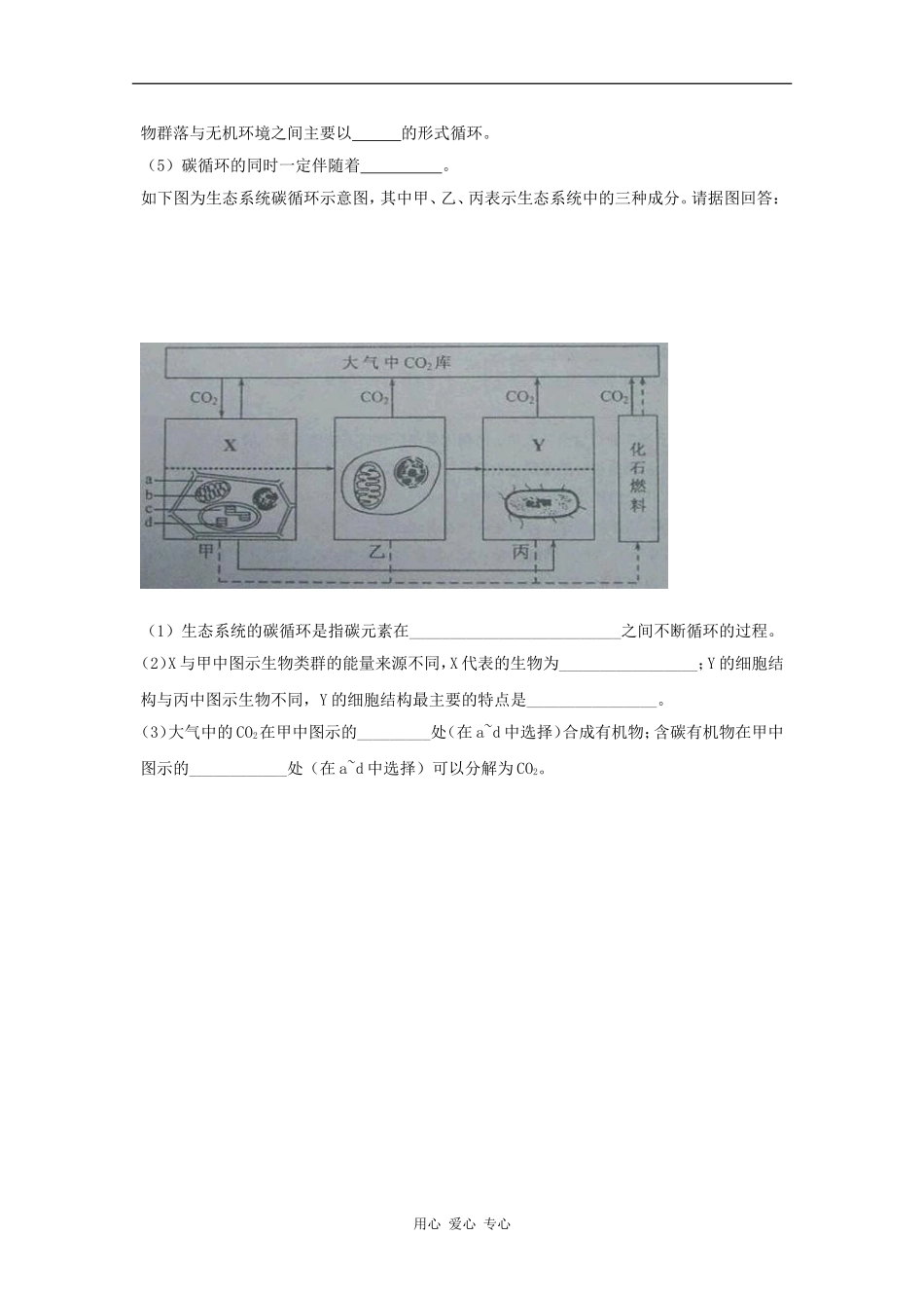 江苏省怀仁中学2012高二生物 5.3《生态系统的物质循环》学案 新人教版必修3_第3页