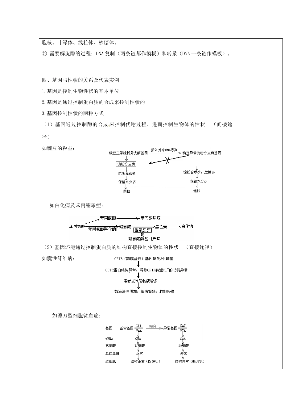 江苏省江阴市成化高级中学2014届高考生物一轮复习 第4章 基因的表达教案 新人教版必修2_第2页