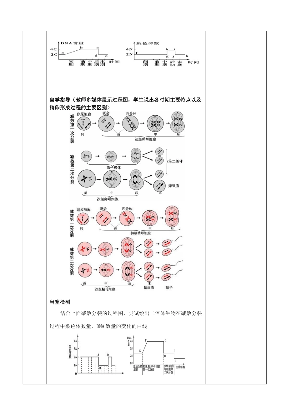 江苏省徐州市睢宁县菁华高级中学2014年高中生物 第二章 第一节 减数分裂四步教学法课时教学设计 苏教版必修2_第3页