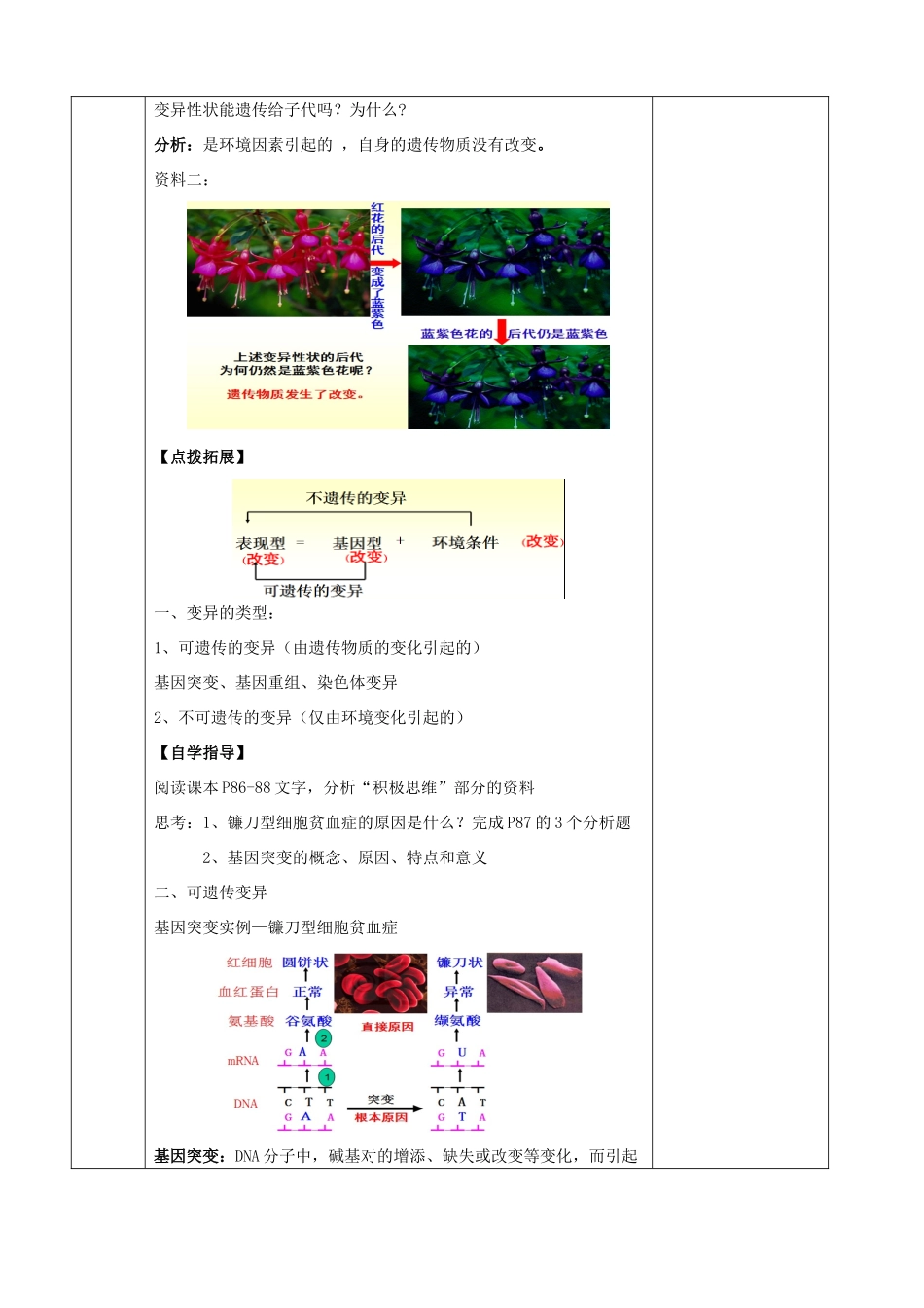 江苏省徐州市睢宁县菁华高级中学2014年高中生物 第四章 第四节 基因突变四步教学法教案 苏教版必修2_第2页