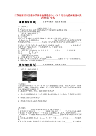 江苏省新沂市王楼中学高中物理《3.5 运动电荷在磁场中受到的力》学案 新人教版选修3-1
