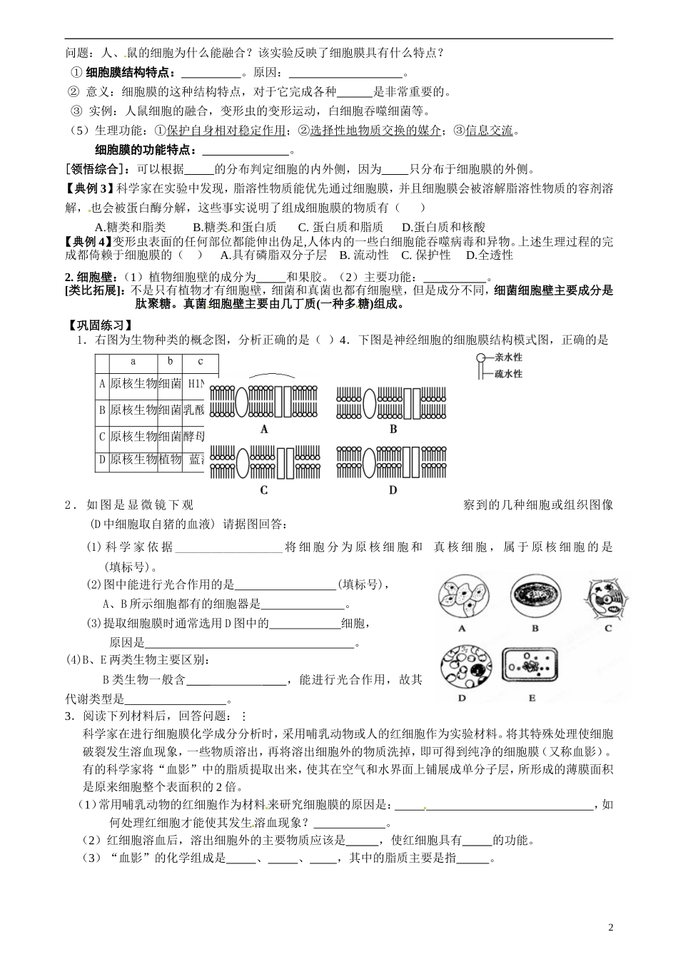 江苏省海头高级中学2014年高中生物 3.2 细胞的类型和结构导学案 苏教版必修1_第2页