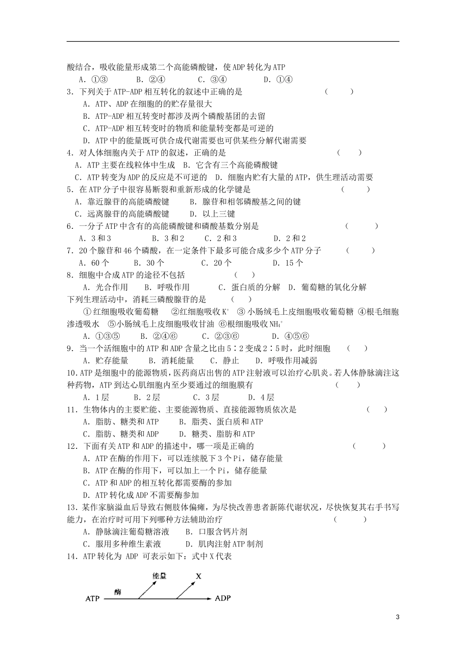 江苏省盐城市射阳二中高一生物《细胞的能量“通货”──ATP》教学案_第3页