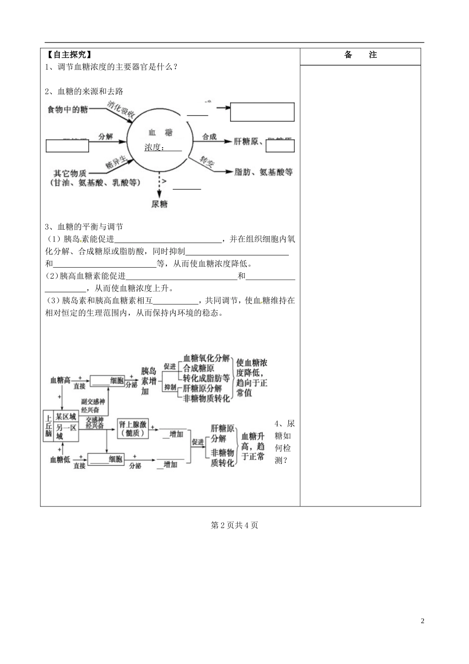江苏省盐城市时杨中学2015届一轮复习 血糖调节导学案 新人教版必修2 _第2页