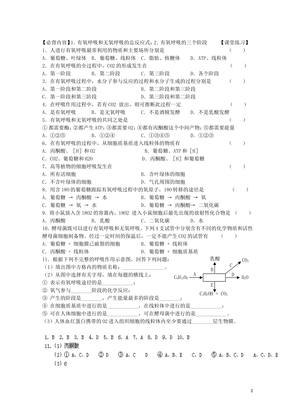 江苏省苏州市第五中学2013-2014学年高中生物 细胞呼吸的过程学案 苏教版必修1_第2页