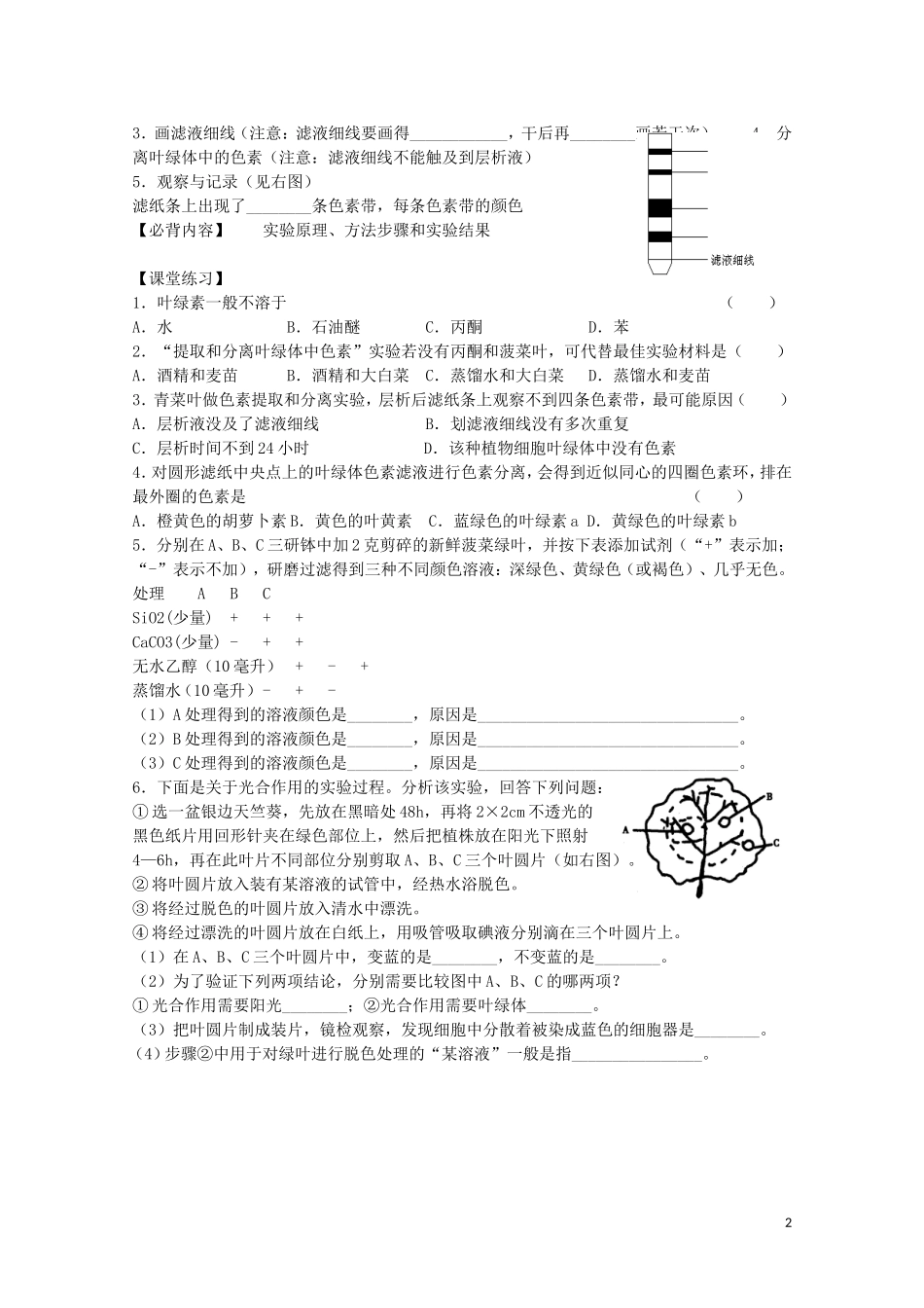 江苏省苏州市第五中学2013-2014学年高中生物 光合作用的认识过程学案 苏教版必修1_第2页