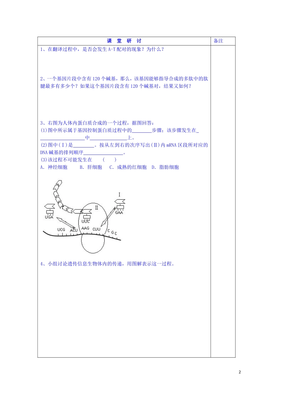 江苏省苏州市第五中学2013-2014学年高中生物 4.3基因控制蛋白质的合成（2）同步导学案 苏教版必修2_第2页