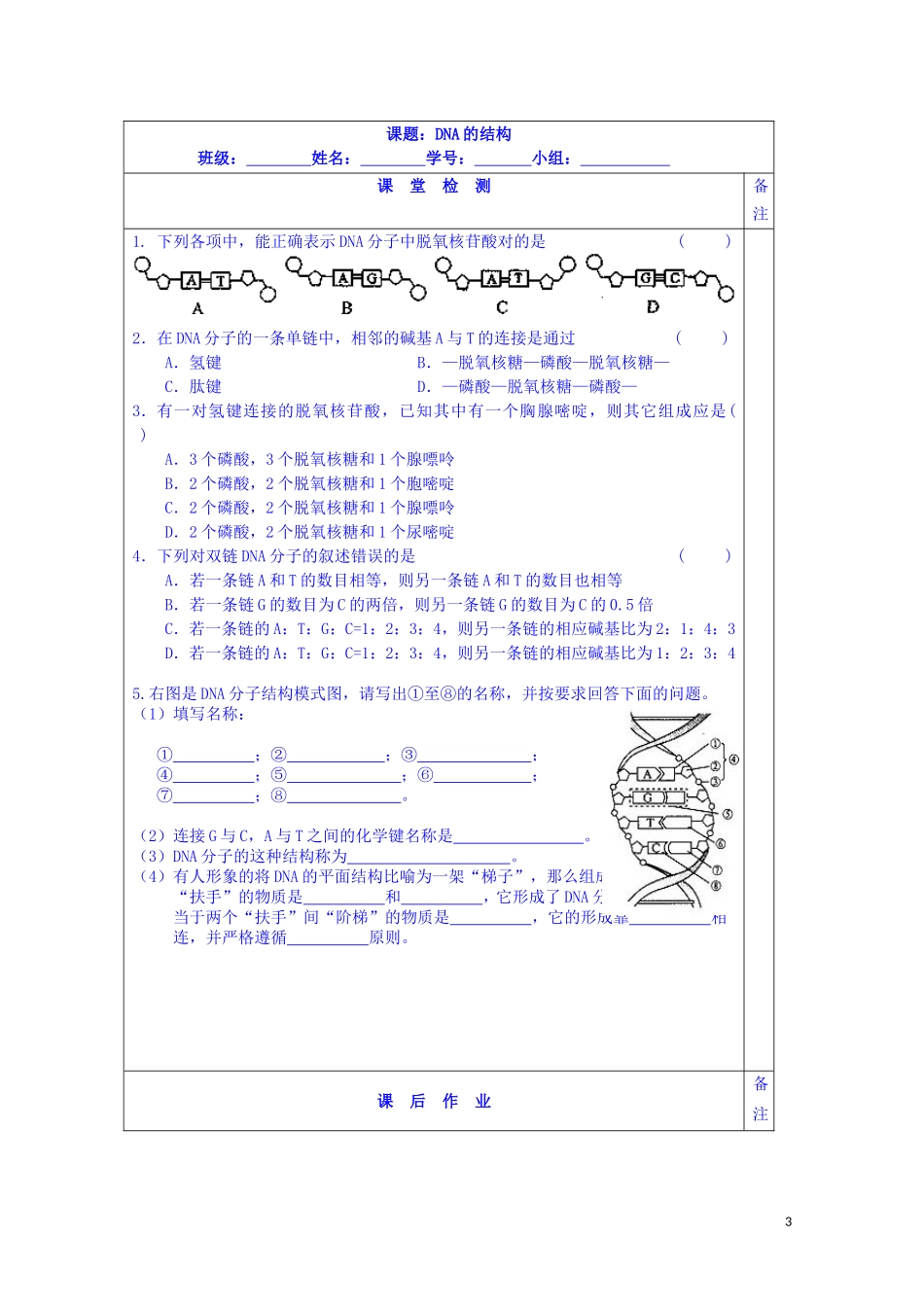 江苏省苏州市第五中学2013-2014学年高中生物 4.2DNA的结构和DNA的复制-DNA的结构同步导学案 苏教版必修2_第3页