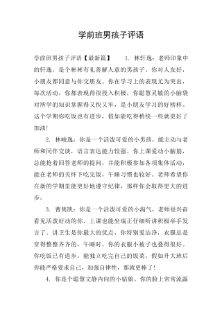 学前班男孩子评语
