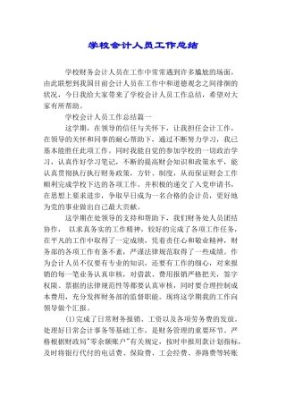 学校会计人员工作总结