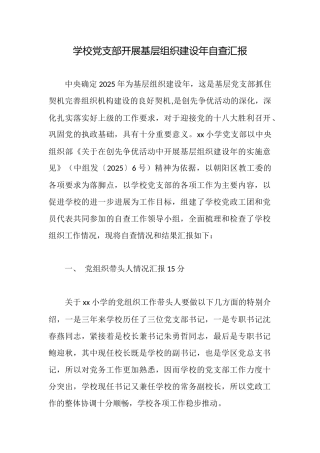 学校党支部开展基层组织建设年自查汇报