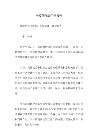 学校团代会工作报告
