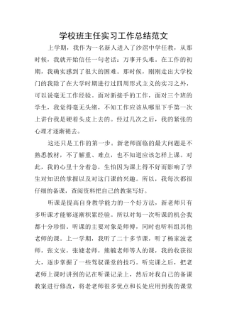 学校班主任实习工作总结范文