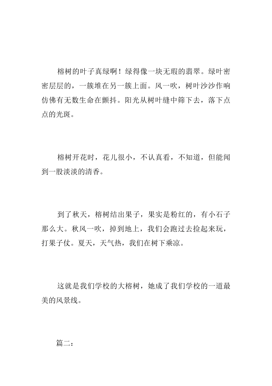 学校的榕树初二说明文_第2页