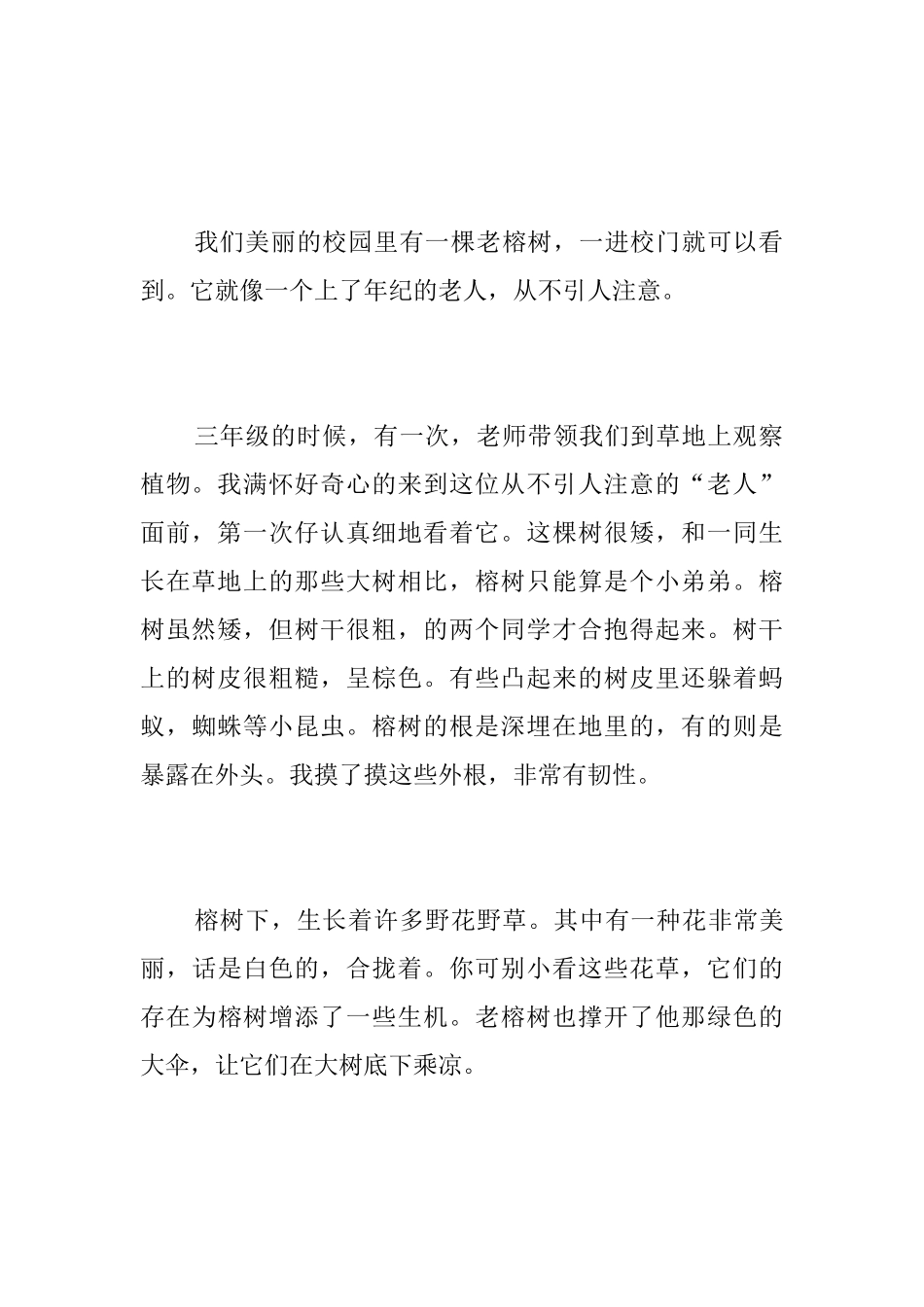 学校的榕树初二说明文_第3页