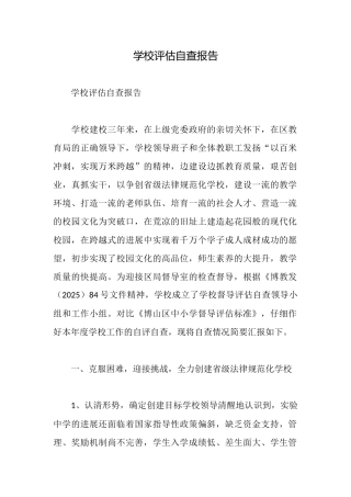 学校评估自查报告