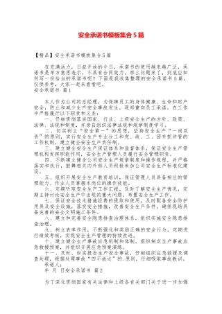 安全承诺书模板集合5篇