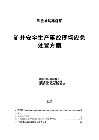 安全生产事故现场应急处置方案
