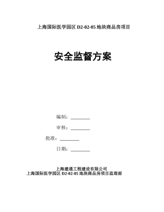安全监理方案
