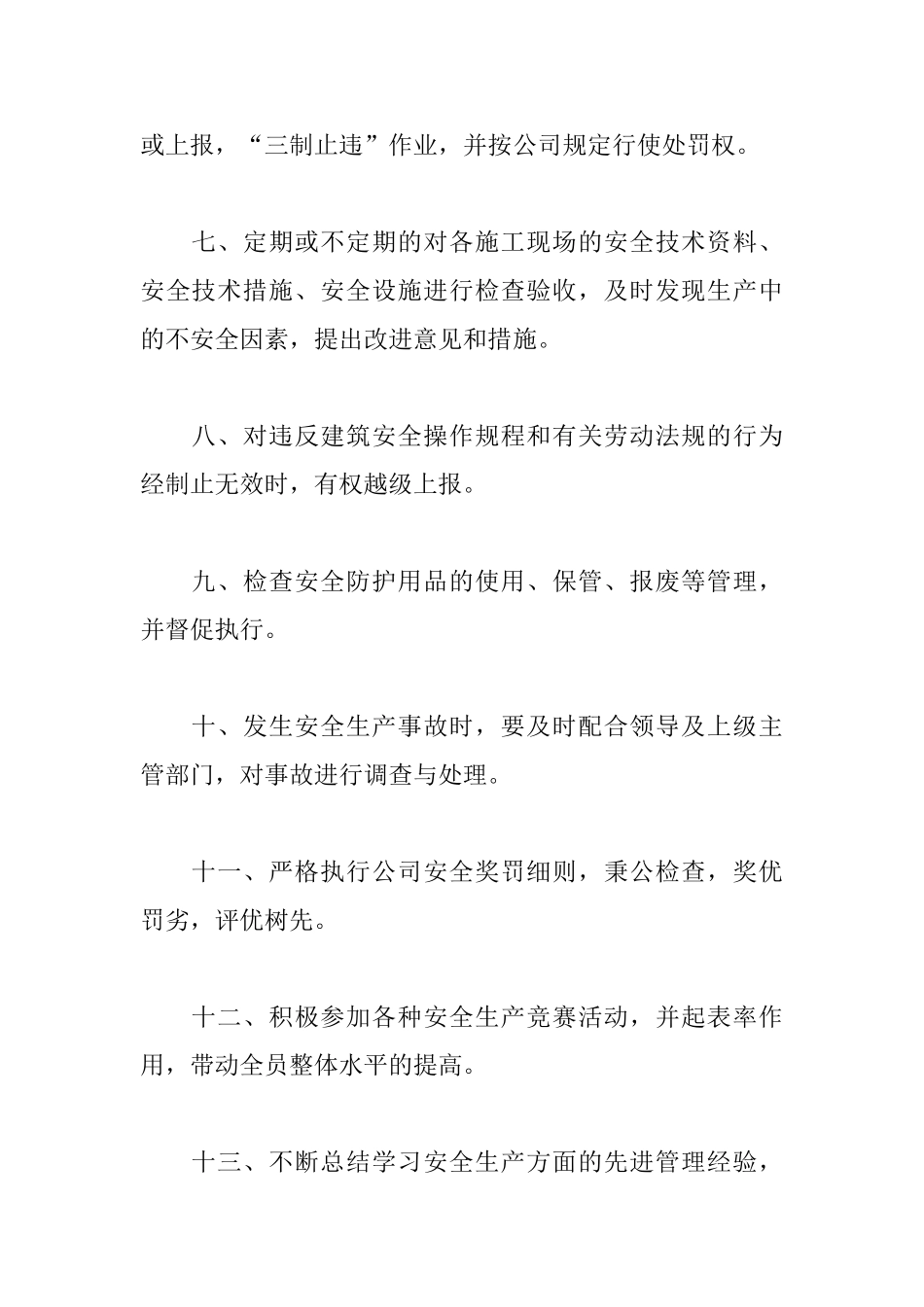 安全管理员岗位职责_第2页